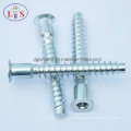 Screw/Bolt/Self-Tapping Screw/Assemblies Screws with High Quality